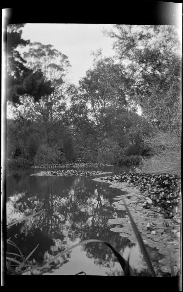 [Christchurch park], 1920