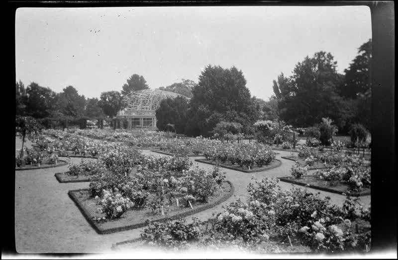 [Christchurch garden], 1920