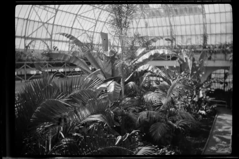 [Christchurch botanical garden], 1920