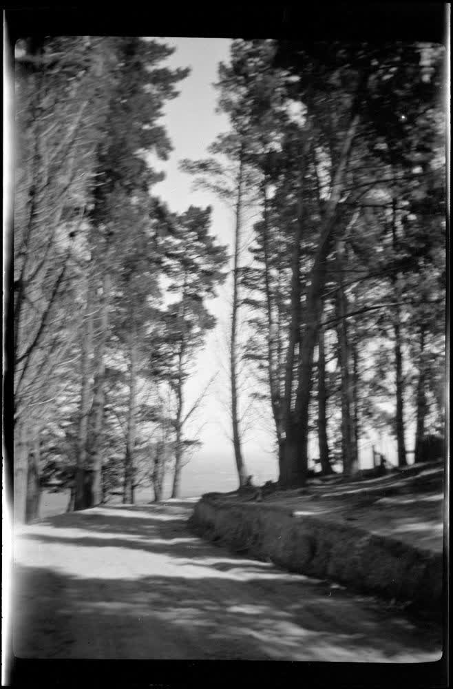 [Christchurch park], 1920