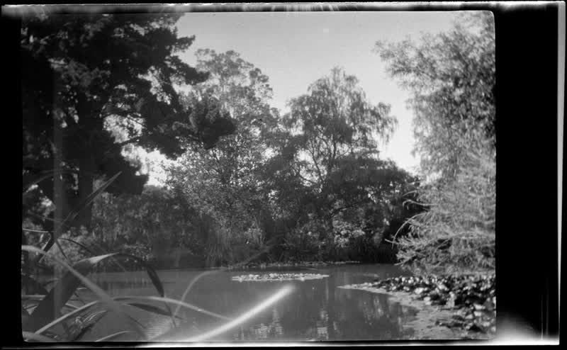 [Avon River, Christchurch], 1920