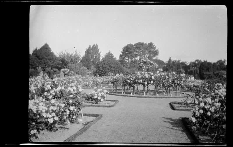 [Christchurch garden], 1920