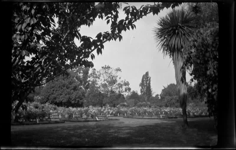 [Christchurch park], 1920