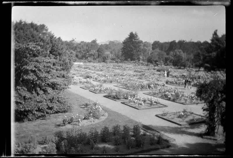 [Christchurch garden], 1920