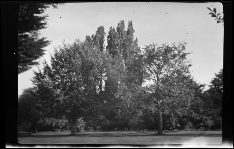 [Christchurch park], 1920