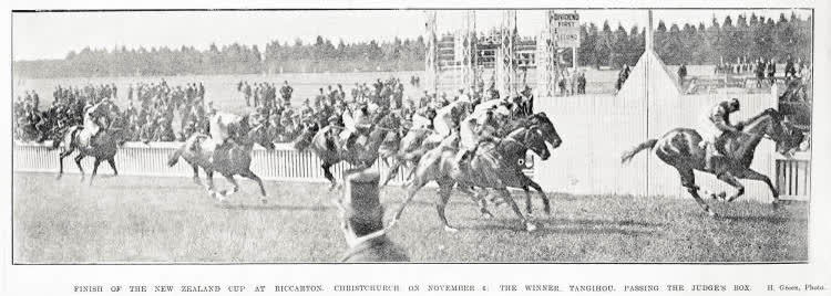 Finish of the New Zealand cup at Riccarton, Christchurch, on November 6: the winner, Tangihou, passing the judge's box, 1915