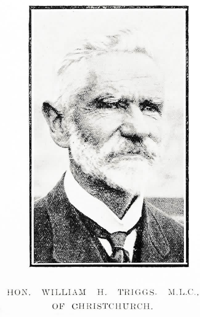 Hon. William H. Triggs. M.L.C., of Christchurch, 1918