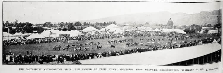 The Canterbury Metropolitan Show: the parade of prize stock, Addington Show Grounds. Christchurch, November 8, 1918, 1918