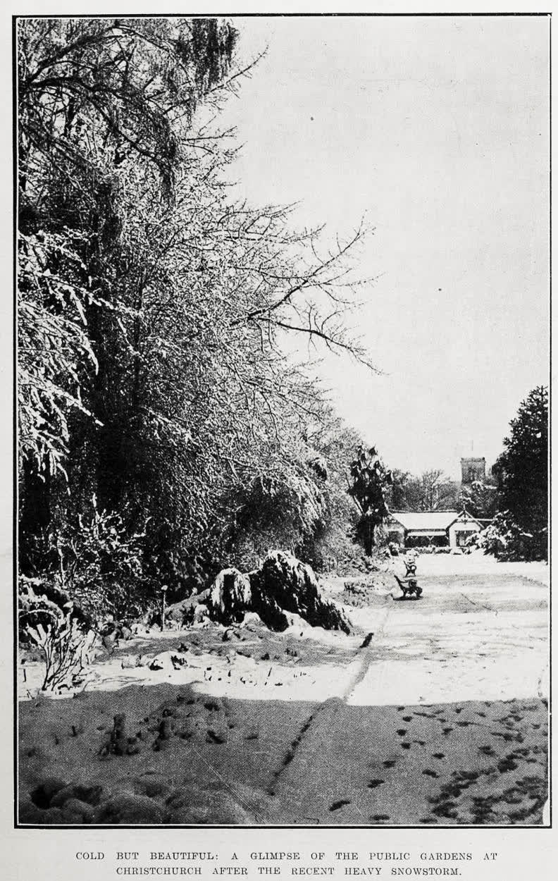 Cold but beautiful: a glimpse of the Public Gardens at Christchurch after the recent heavy snowstorm, 1919