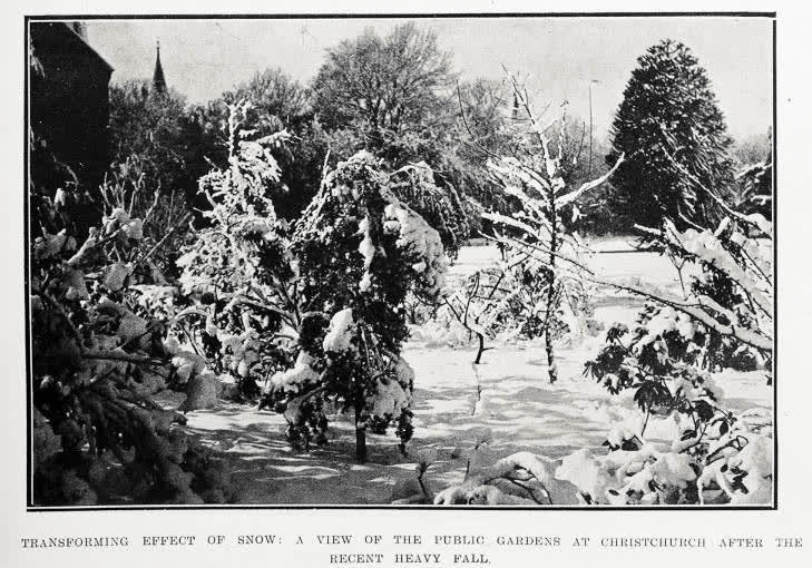 Transforming effect of snow: a view of the Public Gardens at Christchurch after the recent heavy fall, 1919