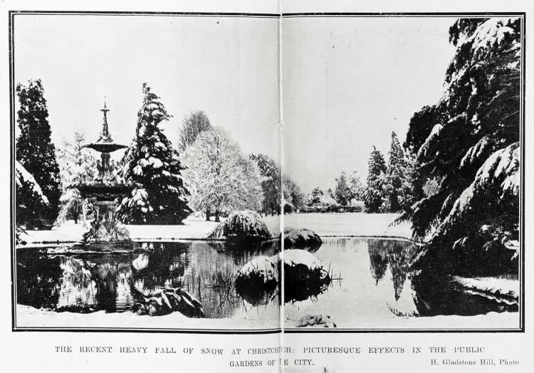 The recent heavy fall of snow at Christchurch: picturesque effects in the Public Gardens of the city, 1919