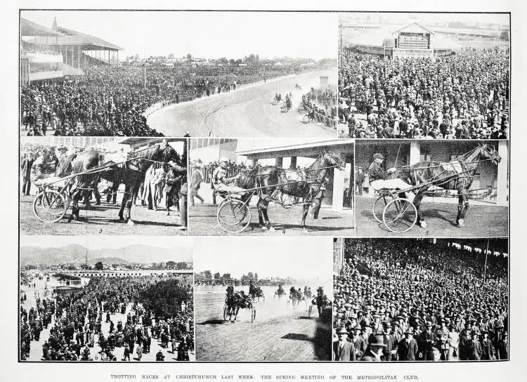 Trotting races at Christchurch last week: the spring meeting of the Metropolitan Club, 1919