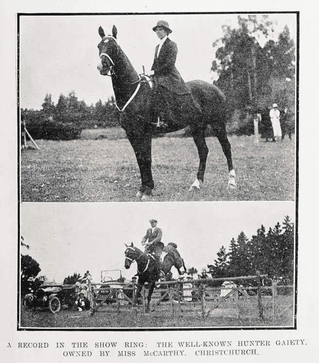 A record in the show ring: the well-known hunter Gaiety, owned by Miss McCarthy, Christchurch, 1920