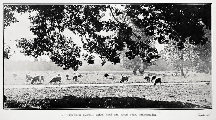 A picturesque pastoral scene near the River Avon, Christchurch, 1920
