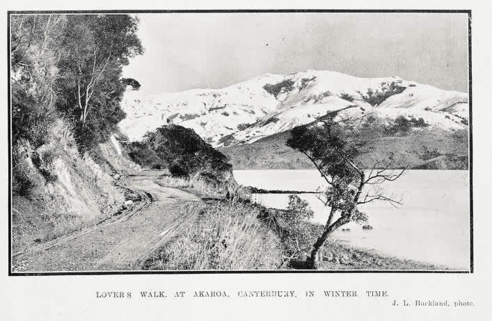 Lover's walk, at Akaroa, Canterbury, in winter time, 1921