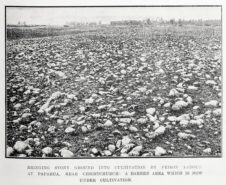 Stony ground at Paparua, near Christchurch, before it was cleared and cultivated by prison labourers, 1922
