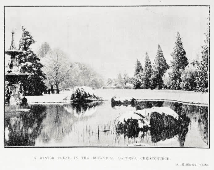 A winter scene in the Botanical Gardens, Christchurch, 1922
