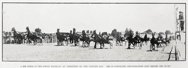 The Spring Handicap at Addington, Christchurch, 1922
