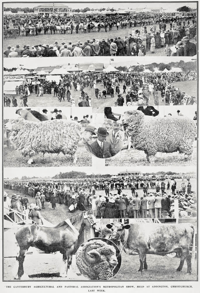 The Canterbury Agricultural and Pastoral Association's Metropolitan Show, held at Addington, Christchurch, last week, 1922