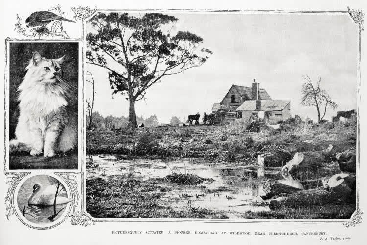 Holiday photos, 1922