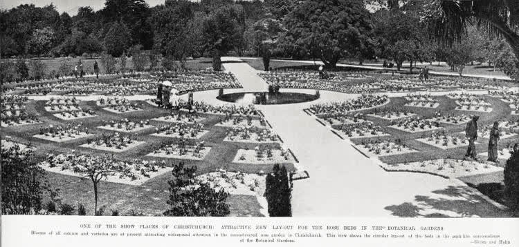 One of the show places of Christchurch: attractive new lay-out for the rose beds in the botanical gardens, 1935
