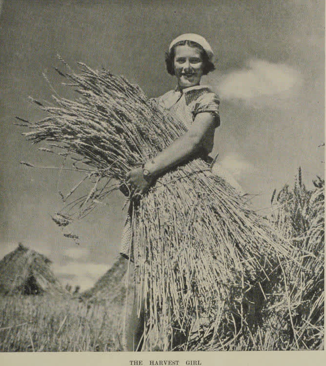 The harvest girl, 1937