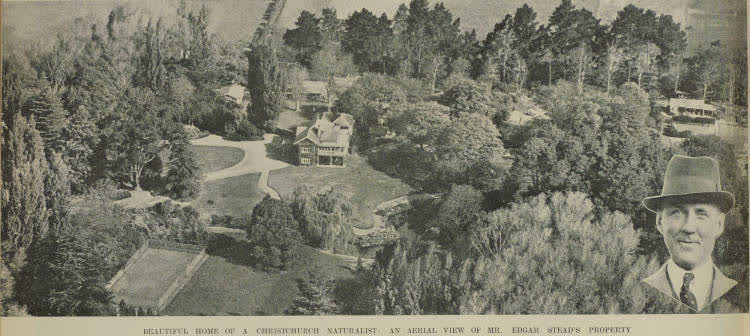 Beautiful home of a Christchurch naturalist: an aerial view of Mr. Edgar Stead's property, 1937