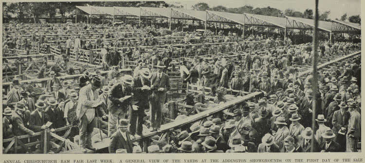 The annual ram and ewe fair of the Canterbury Agricultural and Pastoral Association, 1938