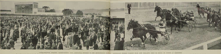 Inter-Dominion championship meeting of the New Zealand Metropolitan Trotting Club at Addington Racecourse, 1938