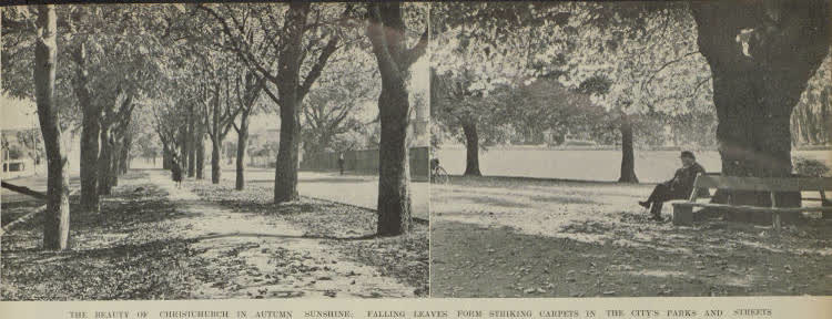 Autumn in Christchurch: Bealey Avenue and Cambridge Terrace, 1938