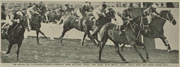 The Winter Cup: Catalogue scoring narrowly from Waitaka (rails) and Alma, with Mittie (left), Great Hope and Paper Slipper next, 1938