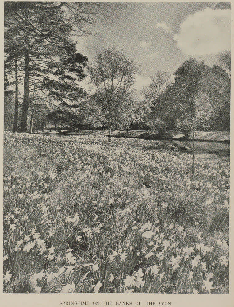 Springtime on the banks of the Avon, 1942