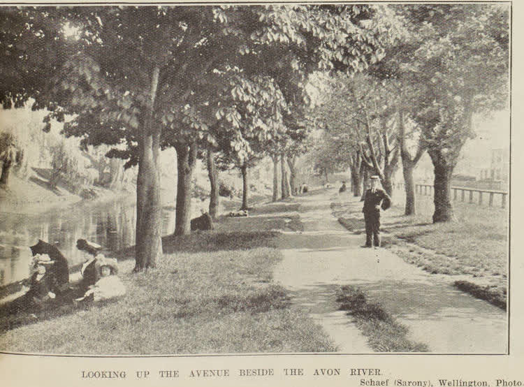 Looking up the avenue beside the Avon River, 1903