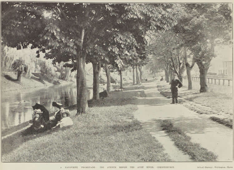 A favourite promenade: the avenue beside the Avon River, Christchurch, 1903
