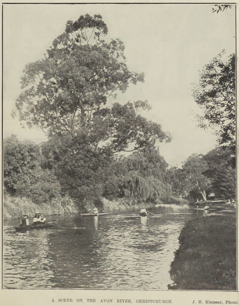 A scene on the Avon River, Christchurch, 1904