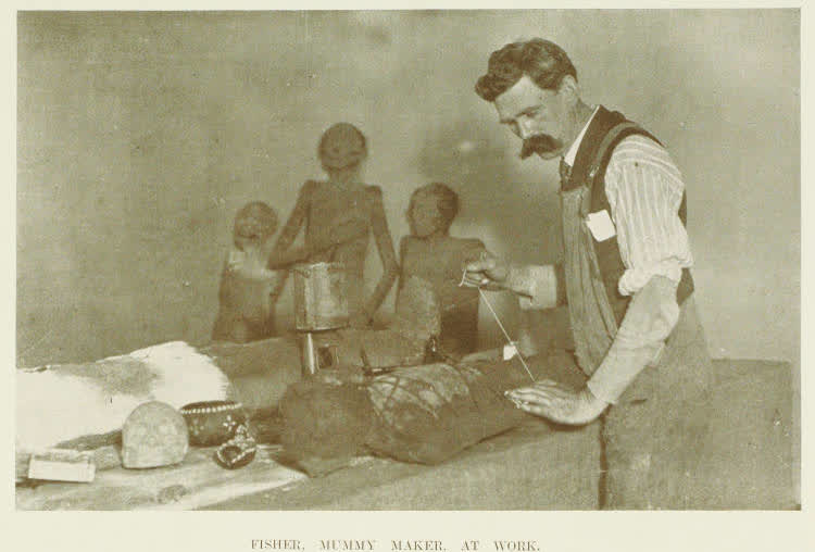 Fisher, mummy maker, at work, 1906