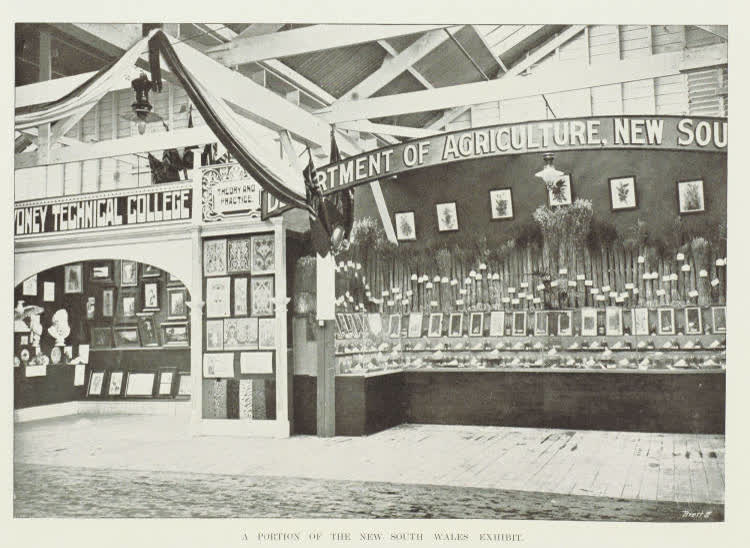 A portion of the New South Wales exhibit, 1906