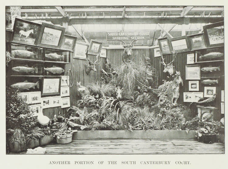 Another portion of the South Canterbury court, 1906