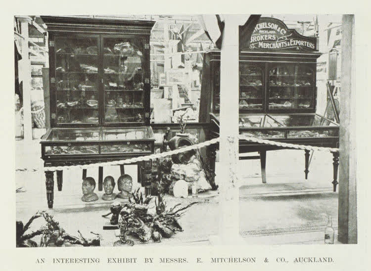 As interesting exhibit by Messrs E Mitchelson & Co Auckland, 1906