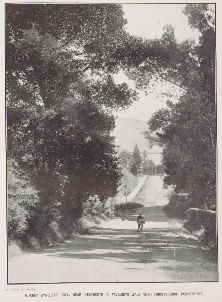 Murray Aynsley's hill, near Heathcote - a favourite walk with Christchurch pedestrians, 1912
