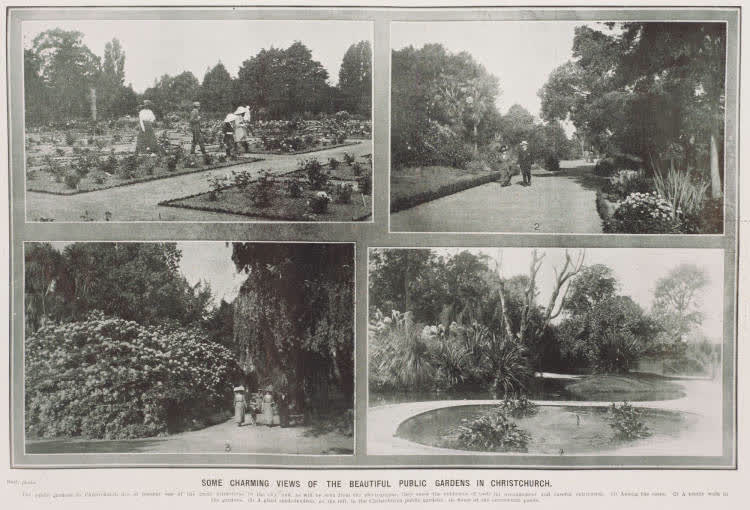 Views of the beautiful public gardens in Christchurch, 1912