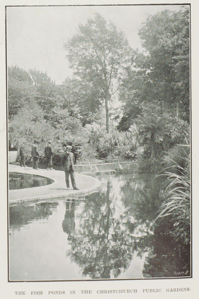 The fish ponds in the Christchurch public gardens, 1912