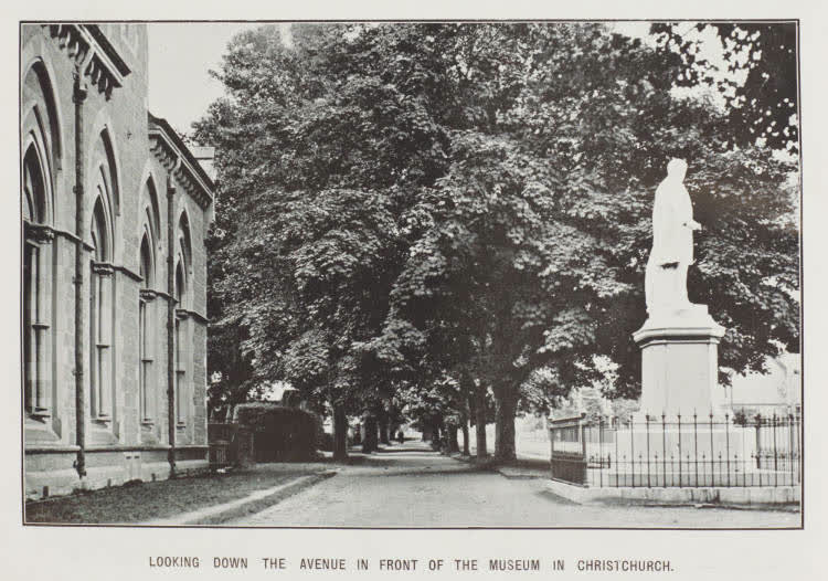 Looking down the avenue in front of the Museum in Christchurch, 1913