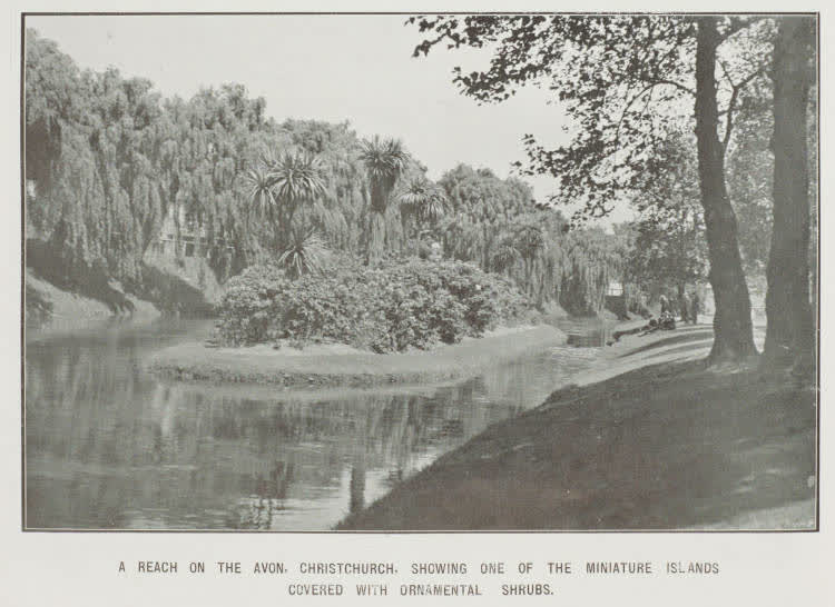 A reach on the Avon, Christchurch, showing one of the miniature islands covered with ornamental shrubs, 1913