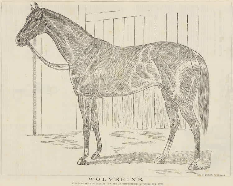 Wolverine, 1890