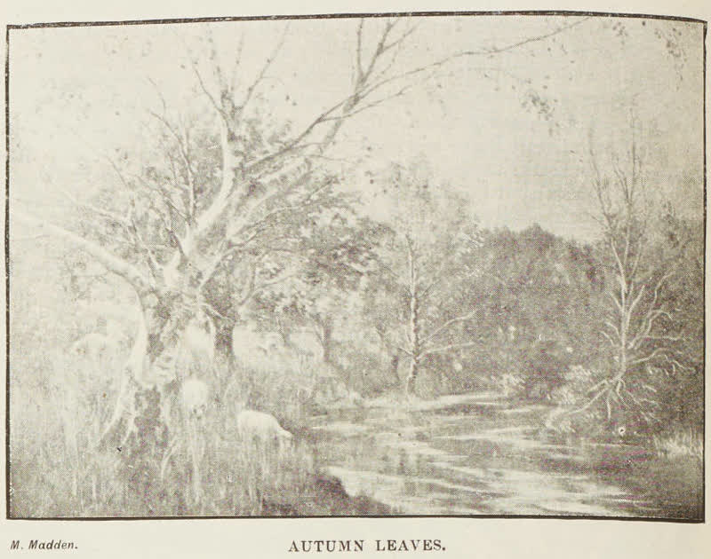 Autumn leaves, 1894