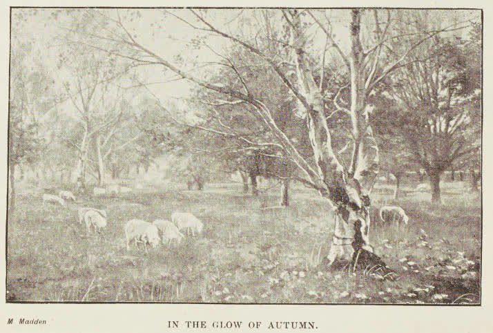 In the glow of autumn, 1894