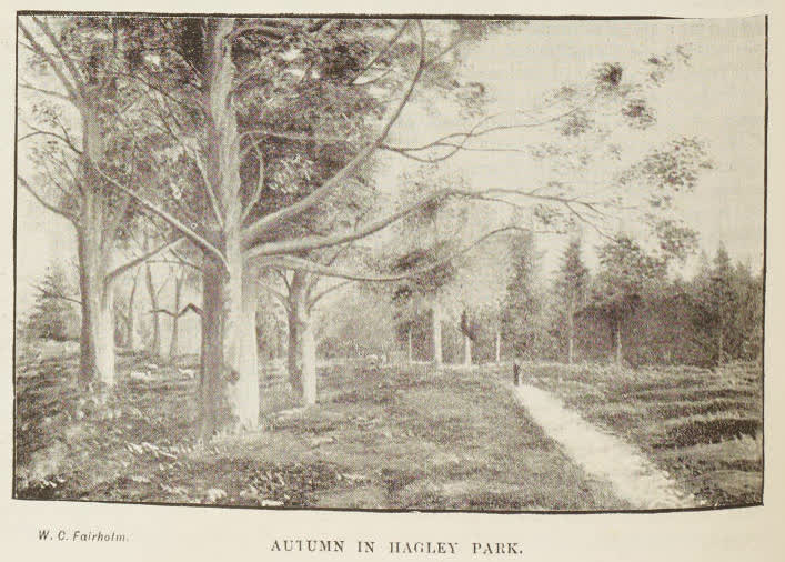 Autumn in Hagley Park, 1894