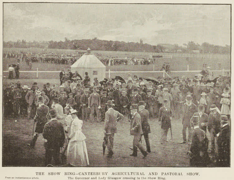The show ring - Canterbury Agricultural and Pastoral Show, 1894
