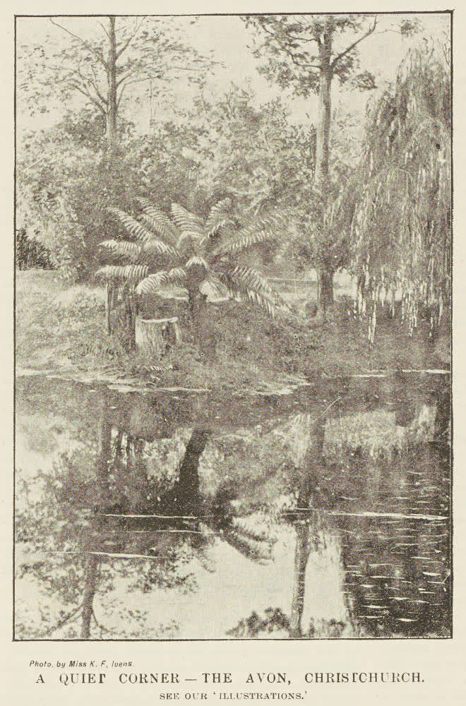 A quiet corner - The Avon, Christchurch, 1894